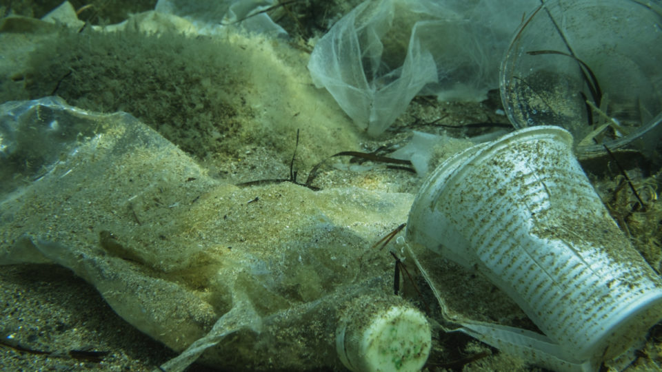 14 Million Tonnes Of Plastic Present At The Bottom Of The Oceans: Study ...